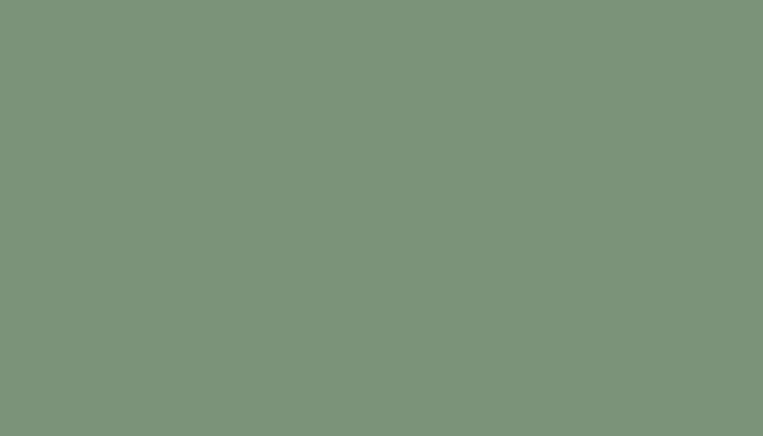Motorcycles – P-670;SE5711 – WILLOW GREEN