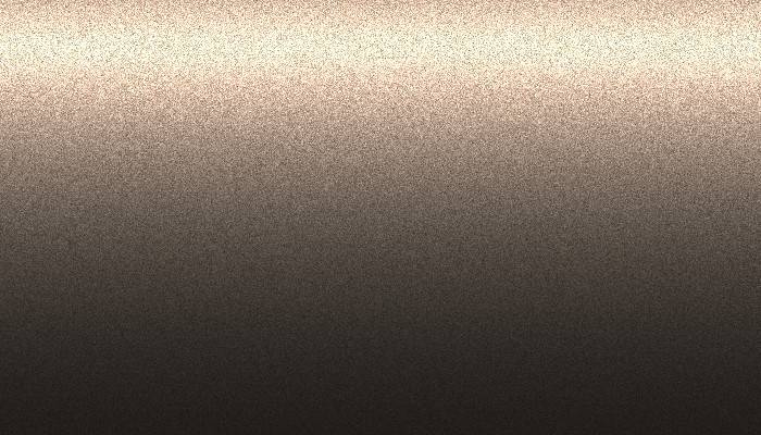 Ford – D1 – STONE GRAY