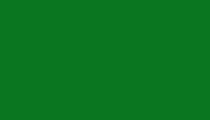 Ford – 7427 – NEED FOR GREEN/SPINEL GREEN