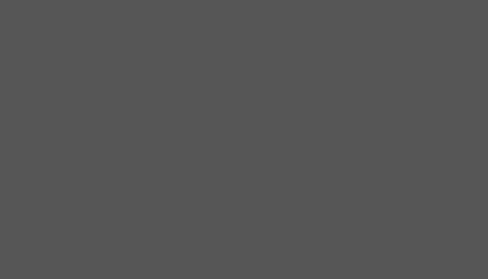 Nissan – KNU – MOLE GREY