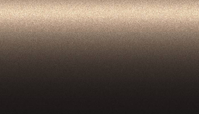 Byd Auto – ZB – TIME BROWN