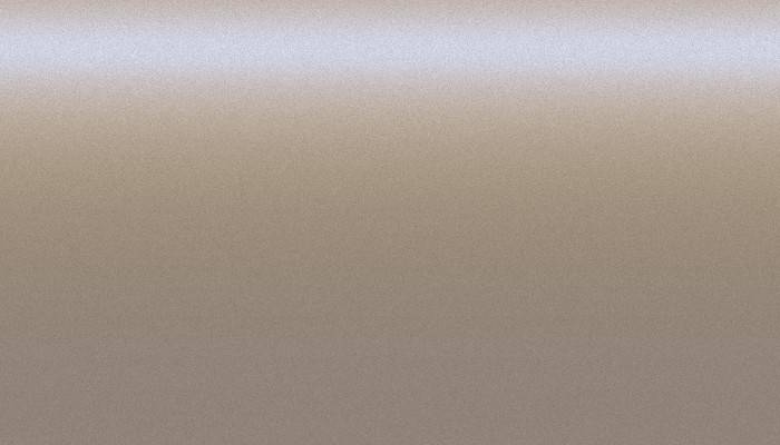 Porsche – LM8Q – COFFEE BEIGE