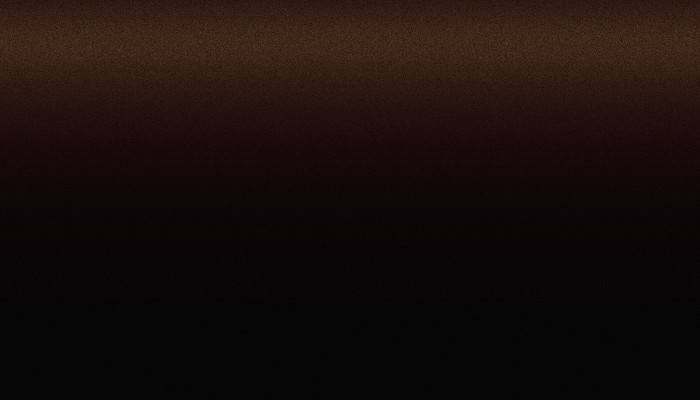 Toyota – 4X9 – BRACKISH BROWN