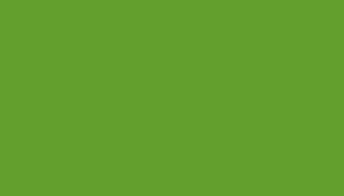 BMW – YP5N – VERDE MANTIS