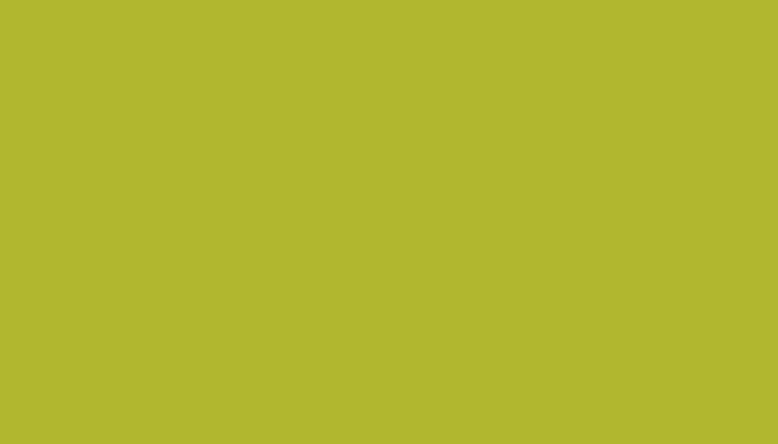 SKODA – LG6E – MAMBA GREEN