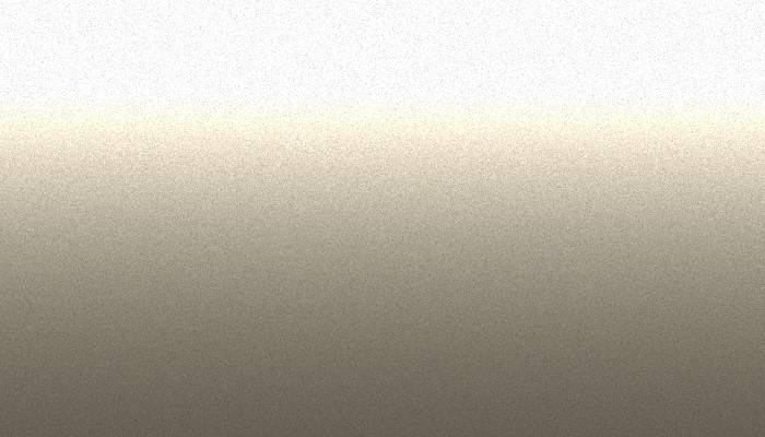 Nissan – 242 – BEIGE