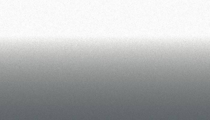Toyota – NP8307 – INCA SILVER